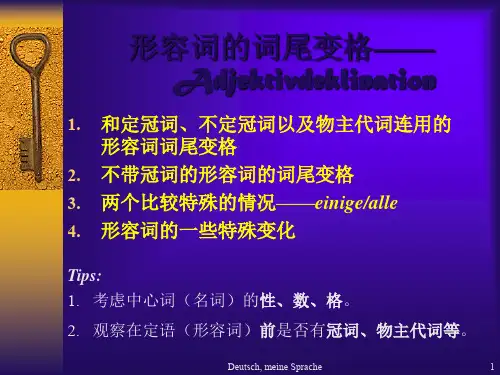 德语形容词变格 .ppt
