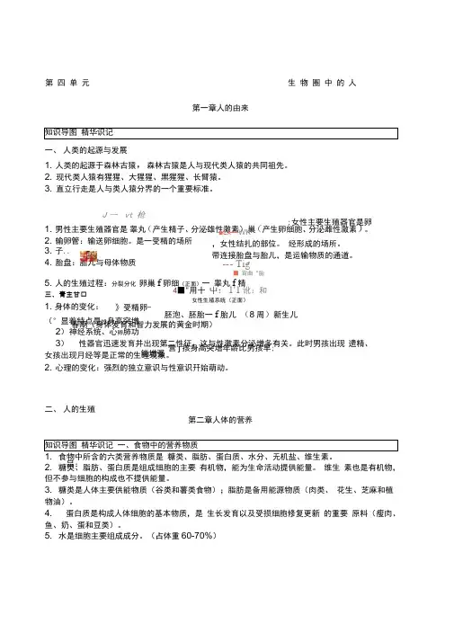 人教版七年级下册生物中考考点精华识记思维导图版