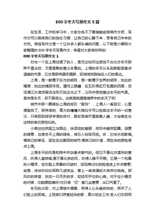 800字冬天写景作文5篇