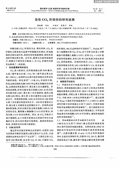 急性CCl4肝损伤的研究进展