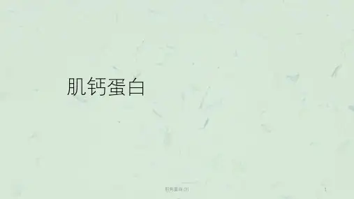 肌钙蛋白 (2)课件