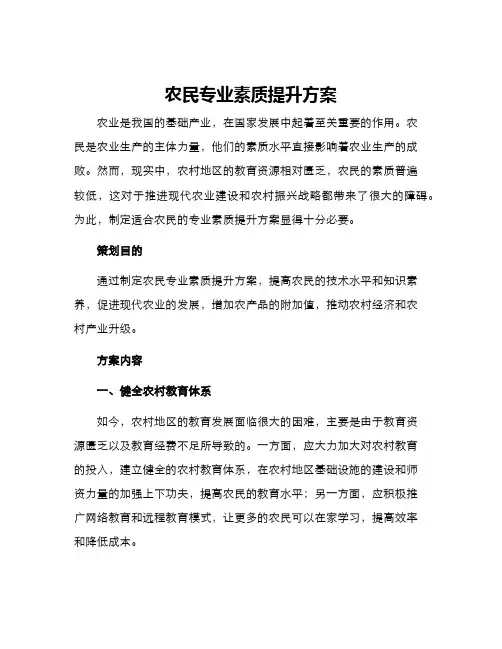 农民专业素质提升方案