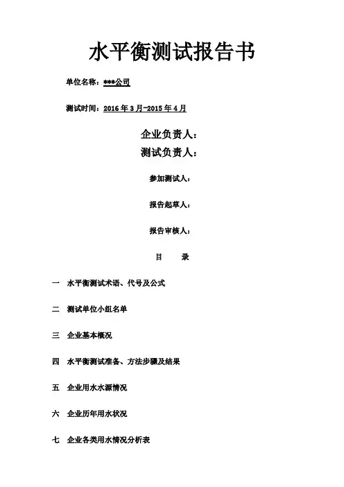 水平衡测试报告 