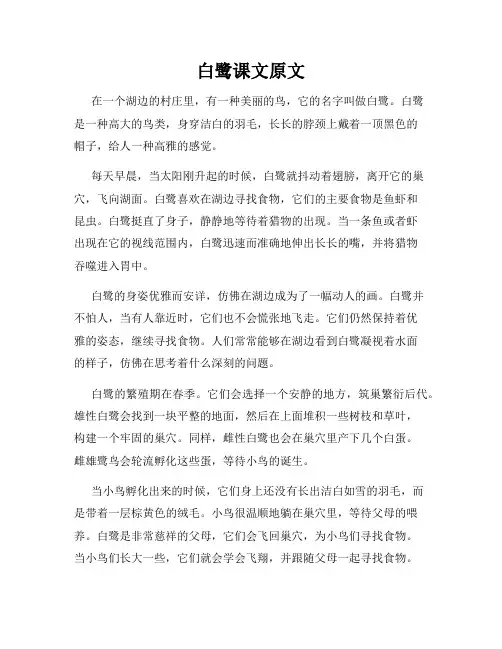 白鹭课文原文