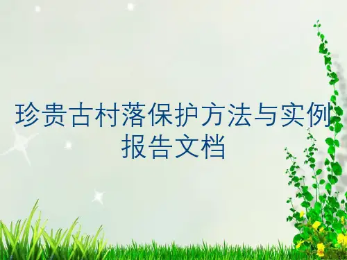 珍贵古村落保护方法与实例报告文档