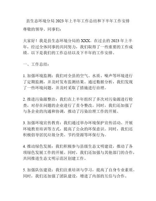 县生态环境分局2023年上半年工作总结和下半年工作安排