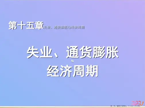 第十五章失业ppt课件