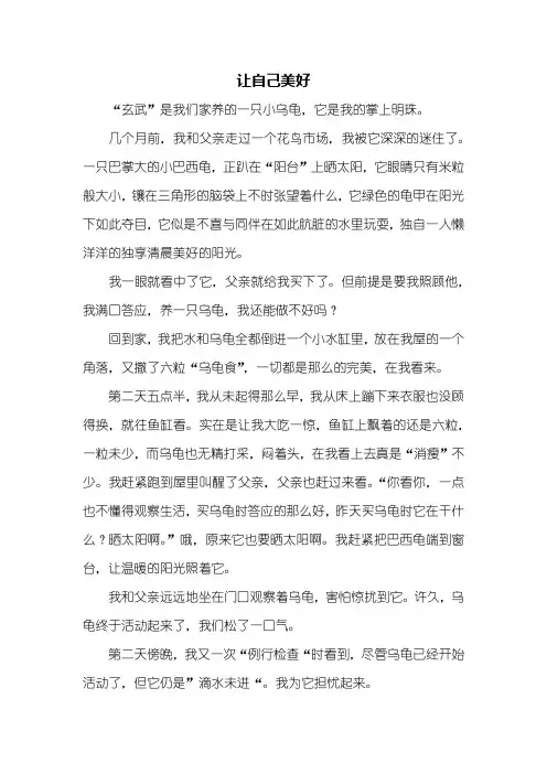 初三作文：让自己美好作文800字_1