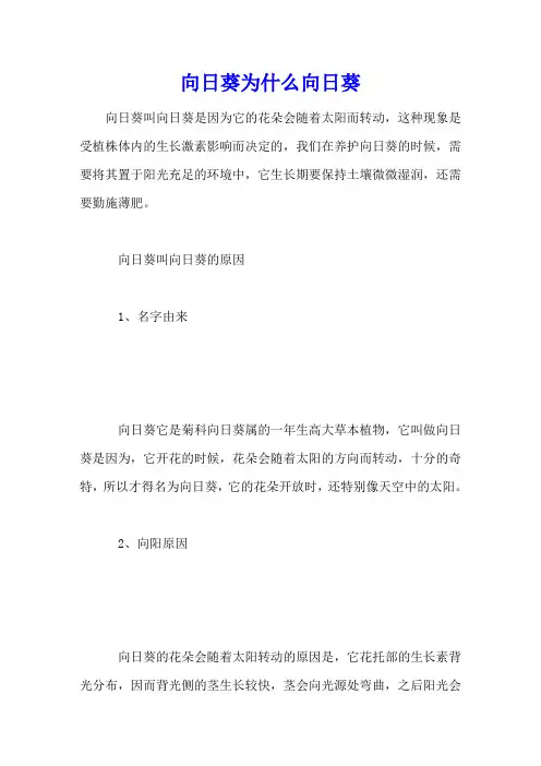 向日葵为什么向日葵