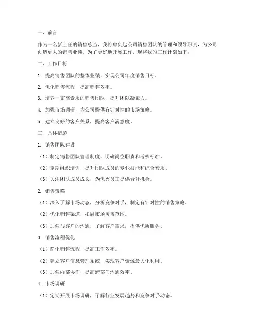 新上任销售总监工作计划