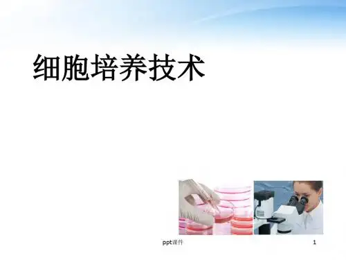 细胞培养技术  ppt课件