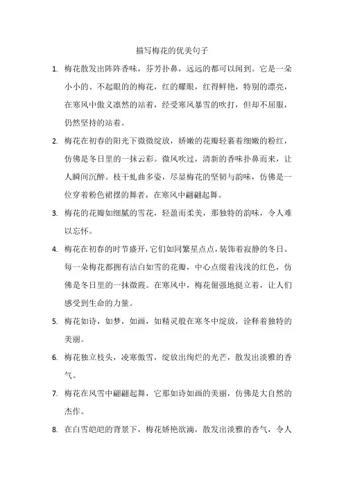 描写梅花的优美句子