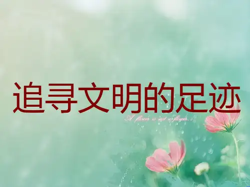 《追寻文明的足迹》介绍课件PPT