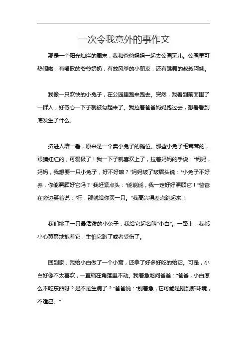 一次令我意外的事作文