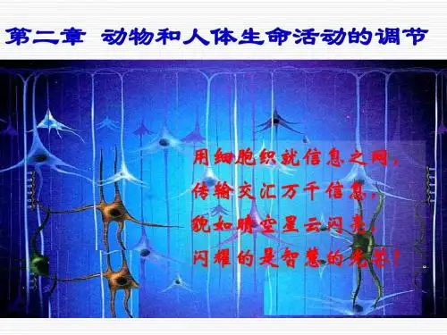 7通过神经系统的调节_ppt