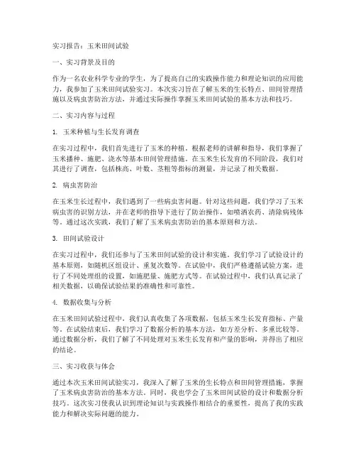 玉米田间试验实习报告