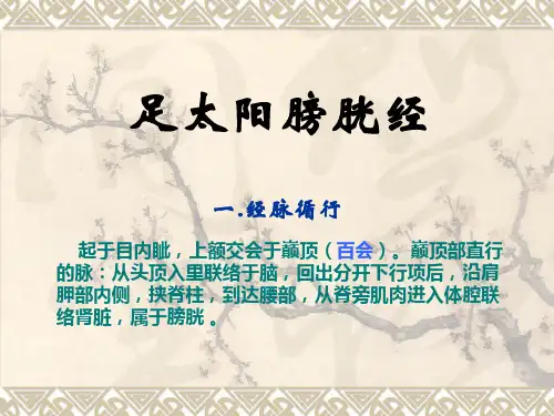 足太阳膀胱经
