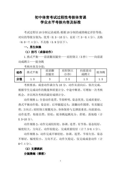 体育考试过程性考核体育课学业水平考核内容及评分标准