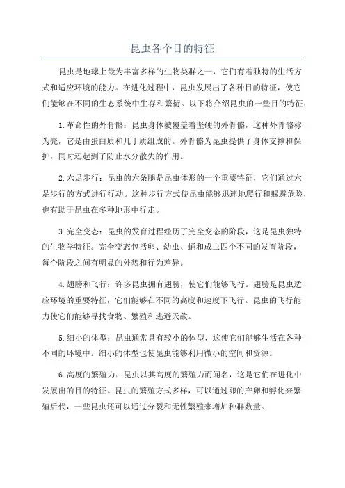 昆虫各个目的特征
