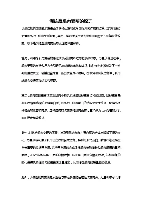 训练后肌肉变硬的原理