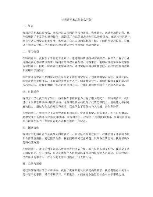 特训营期末总结怎么写好