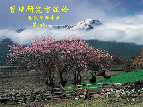管理研究方法论1导论