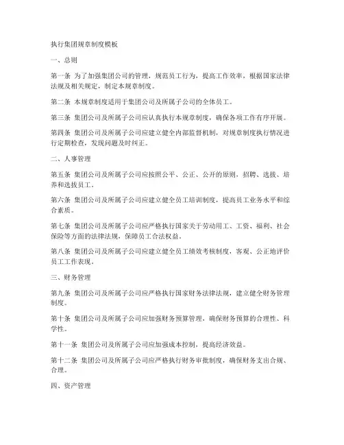 执行集团规章制度模板