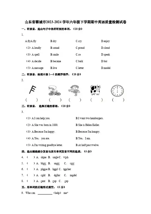 山东省聊城市2023-2024学年六年级下学期期中英语质量检测试卷(含答案)