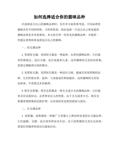 如何选择适合你的猫咪品种