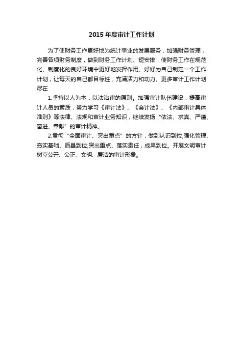 2015年度审计工作计划