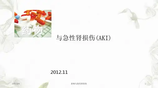 药物与急性肾损伤课件