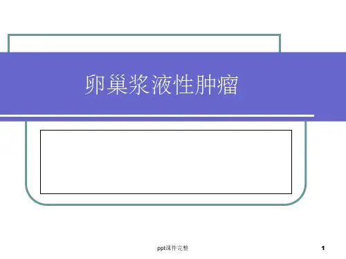 浆液性囊腺瘤ppt课件