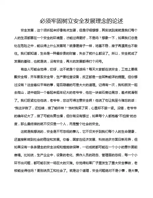 必须牢固树立安全发展理念的论述