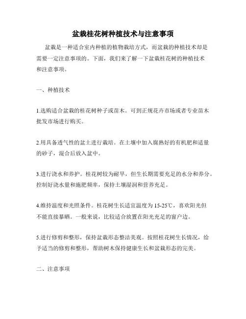 盆栽桂花树种植技术与注意事项