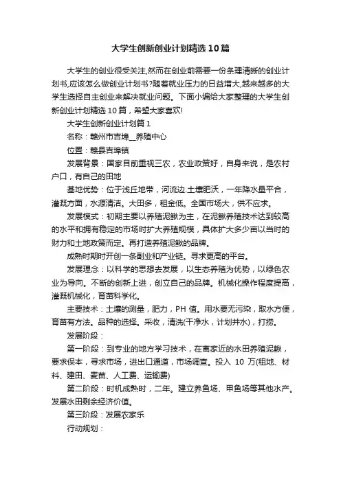 大学生创新创业计划精选10篇