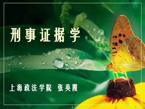 刑事证据学PPT课件