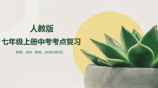 生物复习课件2022-2023学年人教版生物七年级上册