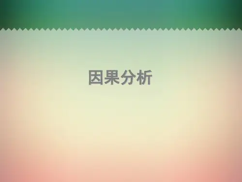 因果分析(ppt文档)