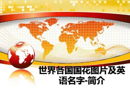 最新世界各国国花图片及英语名字-简介