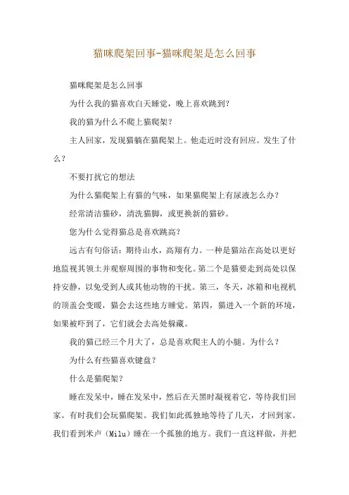 猫咪爬架回事-猫咪爬架是怎么回事