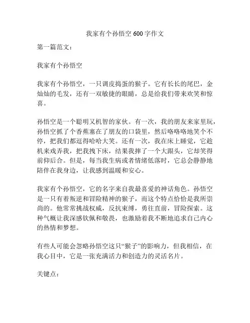 我家有个孙悟空600字作文