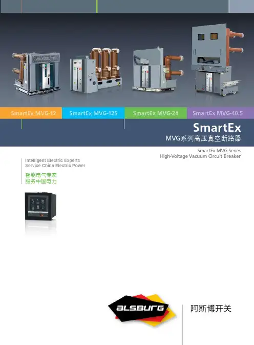 SmartEx MVG系列产品综合样本 2013