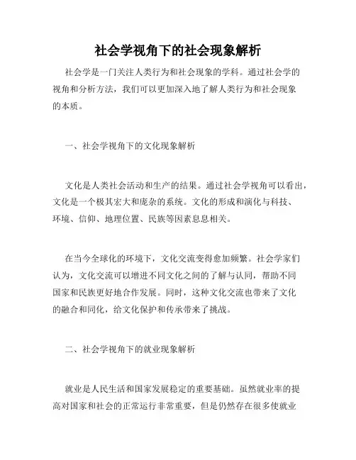 社会学视角下的社会现象解析