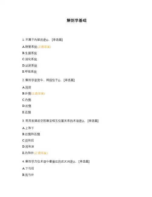 解剖学基础
