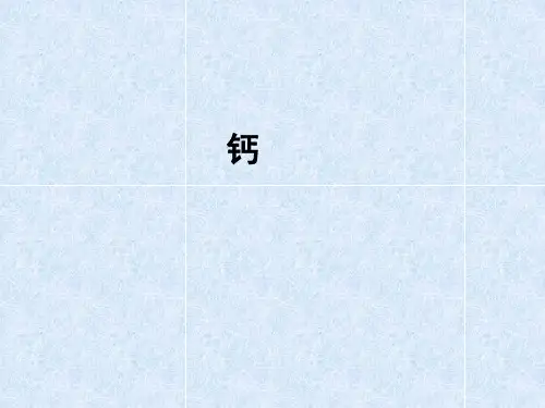 如何科学补钙PPT幻灯片