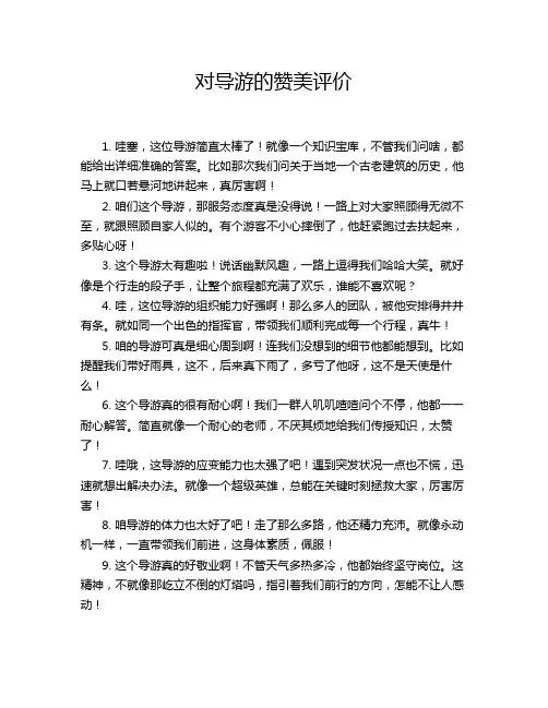 对导游的赞美评价
