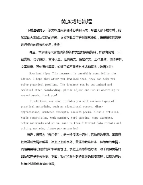 黄连栽培流程