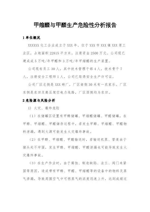 甲缩醛与甲醛生产危险性分析报告