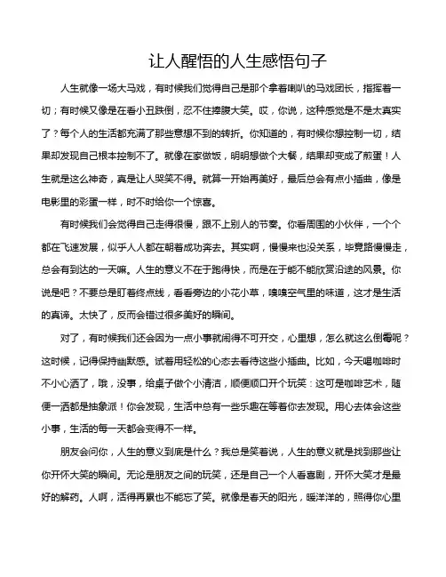 让人醒悟的人生感悟句子