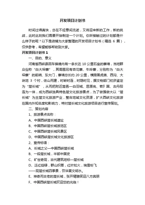 开发项目计划书